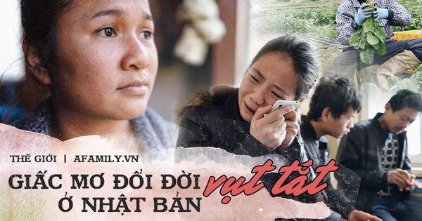 Góc khuất về 'miền đất hứa' Nhật Bản: Người lao động nước ngoài bị ngược đãi, vắt kiệt sức lực, bỏ mạng nơi đất khách, không đủ tiền về nhà