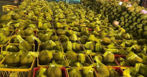 Sầu riêng Việt Nam 'bơi' sang Mỹ, giá 185.000 đồng/kg