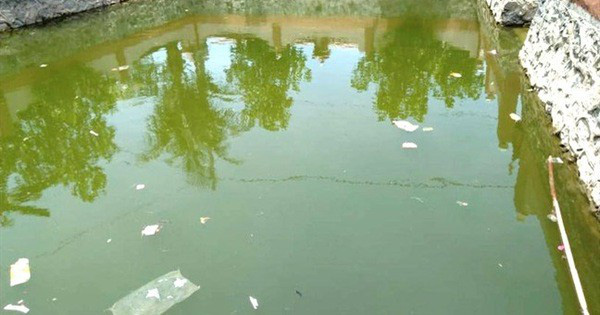 Bé trai ngã xuống ao tử vong khi chạy theo mẹ đi mua hàng