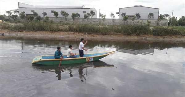 Thêm dấu vết mới nghi vấn có cá sấu 'khủng' ở Hà Tĩnh