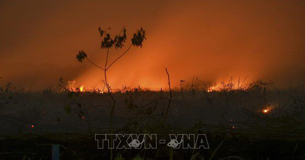 Indonesia: Bùng phát cháy rừng tại các đồn điền thuộc sở hữu của công ty Malaysia