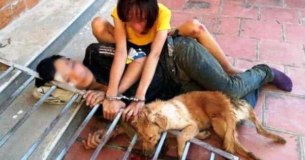 Bắt 10 'cẩu tặc' trộm hơn 40 con chó trong 1 đêm